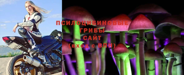Альфа ПВП Богородск
