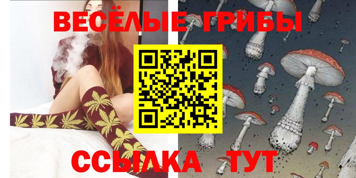 Сердобск  Псилоцибиновые грибы Psilocybe  Вход с VPN 
