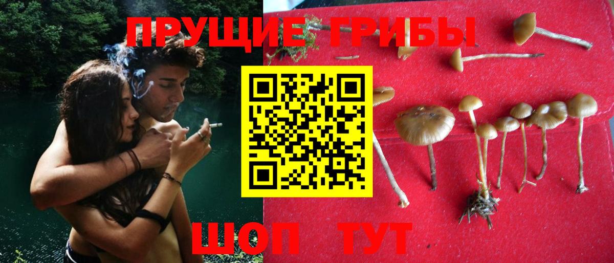 Псилоцибиновые грибы MAGIC MUSHROOMS Сердобск
